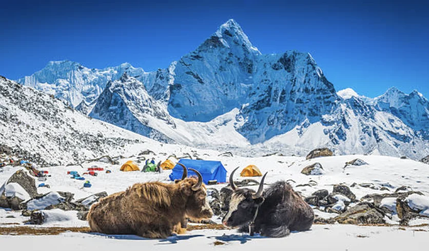 Nepal Expedition 2022